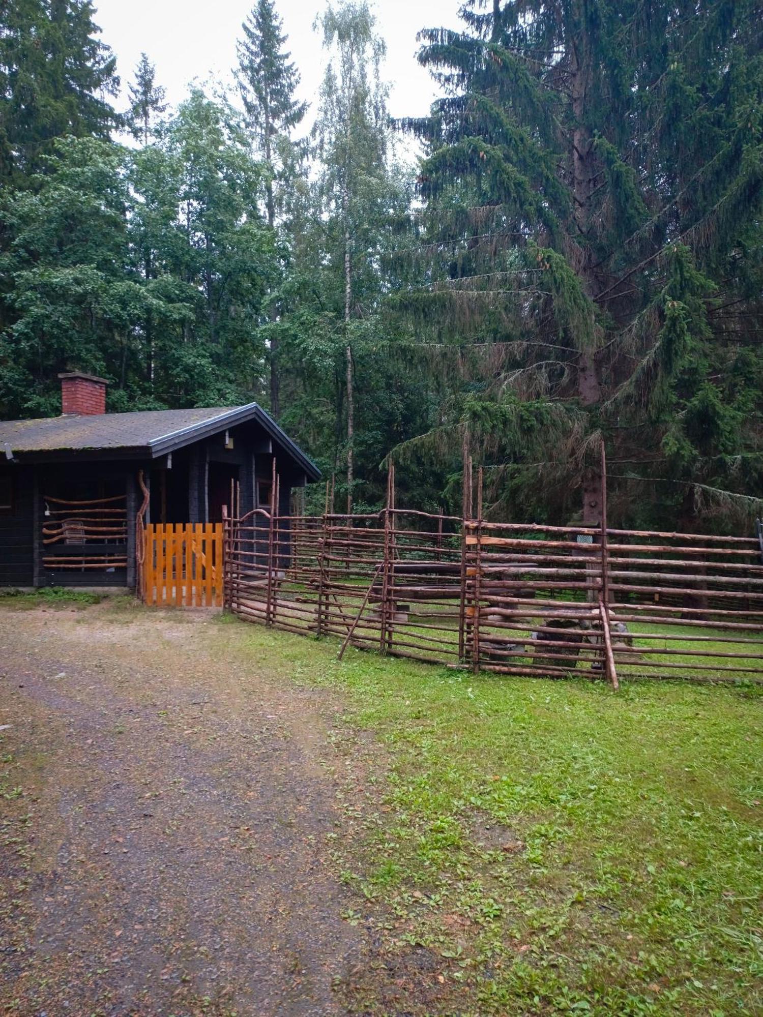 Accommodation And Fishing Vonkale Äänekoski Extérieur photo